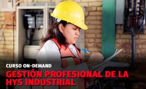 Gestión Profesional de la HYS Industrial